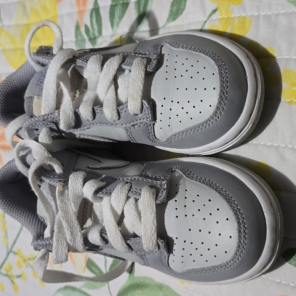 Dunks (Wolf Grey)